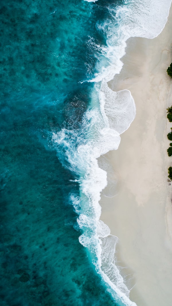 Blue economy news